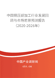 2020年钢压延加工市场需求分析与发展趋势预测