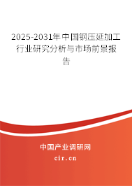 2025年钢压延加工行业前景展望与深度分析