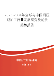 2025年钢压延加工行业前景展望 转型与机遇并存的关键之年