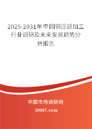 2024年钢压延加工行业分析报告 2023-2029年中国钢压延加工行业调研及未来发展趋势分析报告